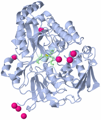 Image Asym./Biol. Unit