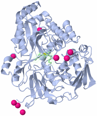 Image Asym./Biol. Unit