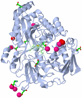 Image Asym./Biol. Unit - sites