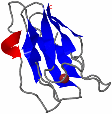 Image NMR Structure - model 1