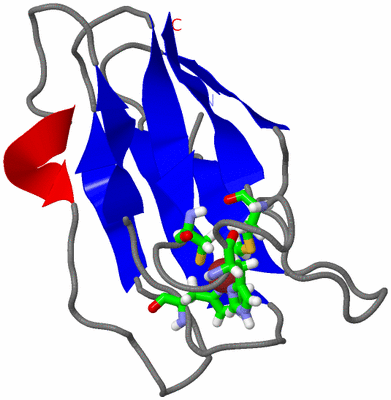 Image NMR Structure - model 1, sites