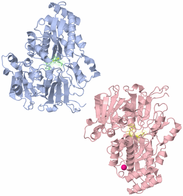 Image Asymmetric Unit