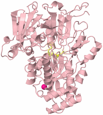 Image Biological Unit 2