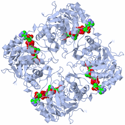 Image Biological Unit 1