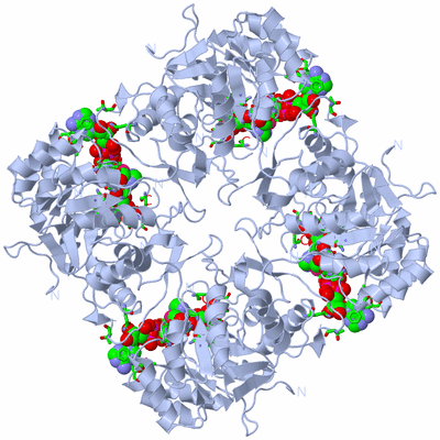 Image Biol. Unit 1 - sites