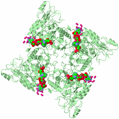 Image Biological Unit 2