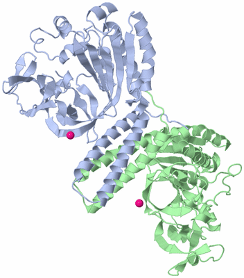 Image Asym./Biol. Unit