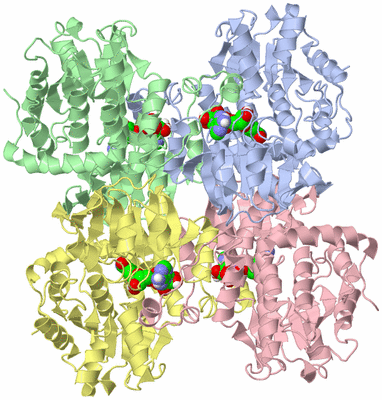 Image Asym./Biol. Unit