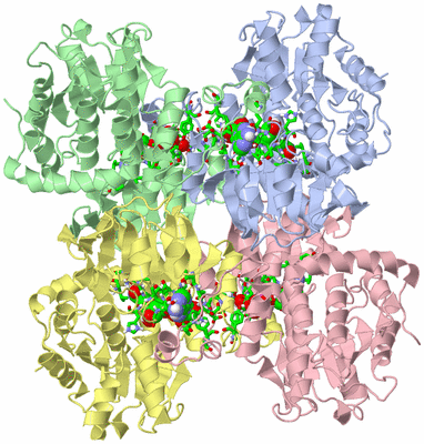 Image Asym./Biol. Unit - sites