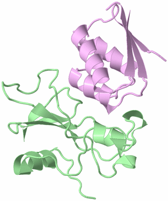 Image Biological Unit 2