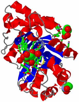 Image Asym./Biol. Unit - sites