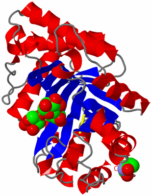 Image Asym./Biol. Unit