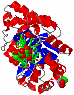 Image Asym./Biol. Unit - sites