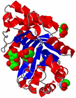 Image Asym./Biol. Unit