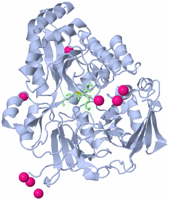 Image Asym./Biol. Unit