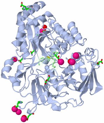 Image Asym./Biol. Unit - sites