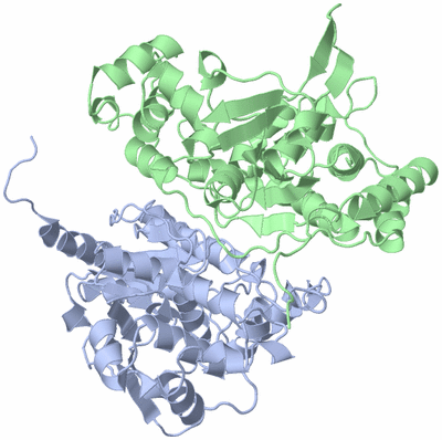 Image Asym./Biol. Unit