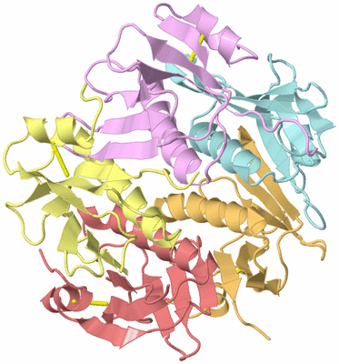 Image Asym./Biol. Unit