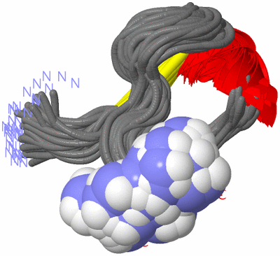 Image NMR Structure - all models