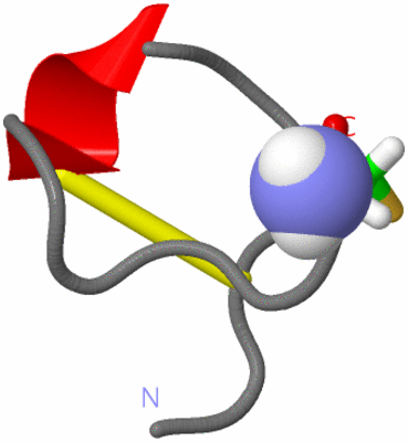 Image NMR Structure - model 1, sites