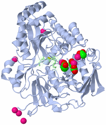 Image Asym./Biol. Unit