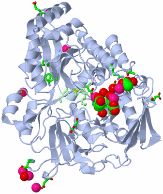 Image Asym./Biol. Unit - sites