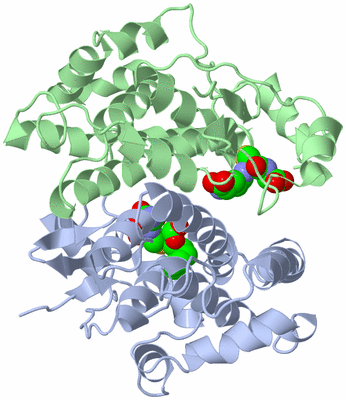 Image Asym./Biol. Unit