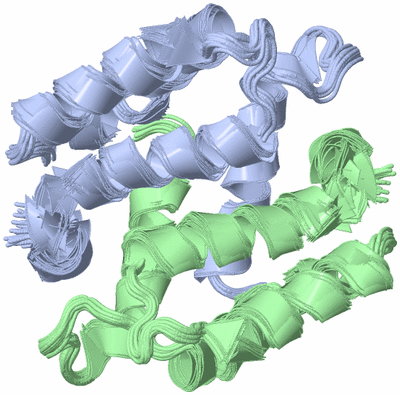 Image NMR Structure - all models