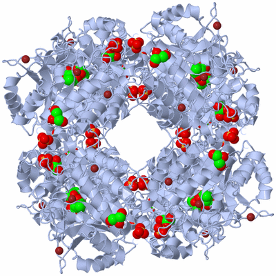 Image Biological Unit 1