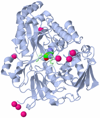 Image Asym./Biol. Unit