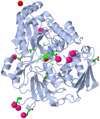 Image Asym./Biol. Unit - sites