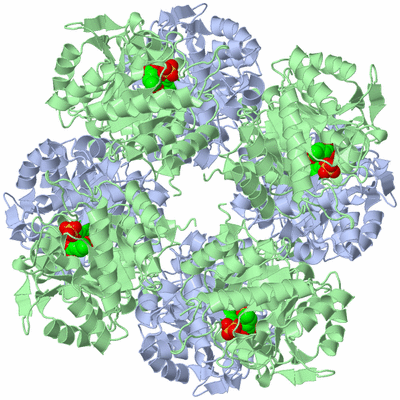 Image Biological Unit 1