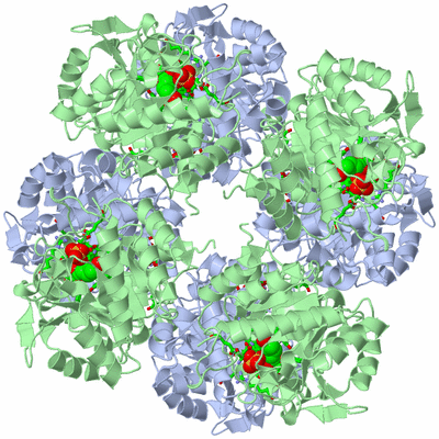 Image Biol. Unit 1 - sites