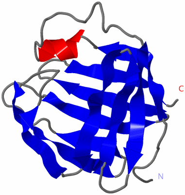Image NMR Structure - model 1