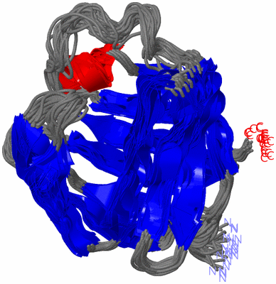 Image NMR Structure - all models