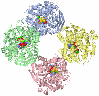 Image Asym./Biol. Unit