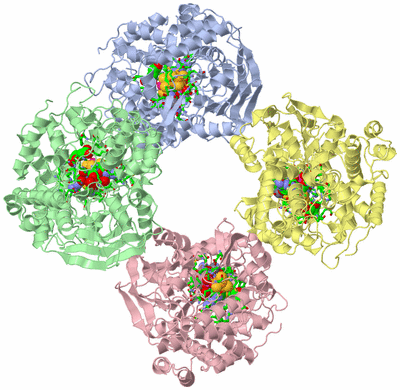 Image Asym./Biol. Unit - sites