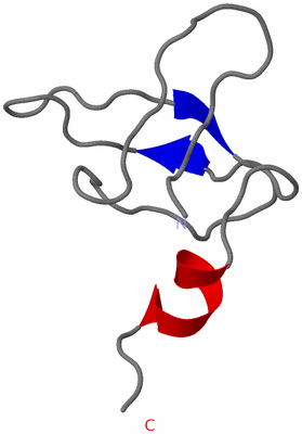 Image NMR Structure - model 1