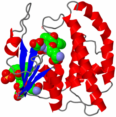 Image Asymmetric Unit