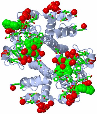 Image Biol. Unit 1 - sites