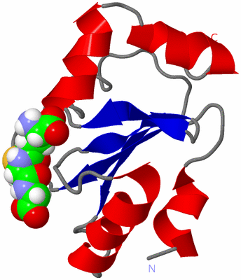 Image NMR Structure - model 1