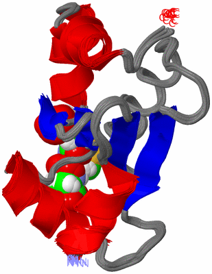 Image NMR Structure - all models