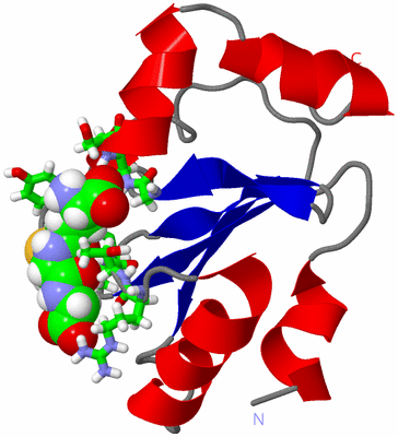 Image NMR Structure - model 1, sites