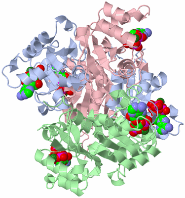 Image Biological Unit 1