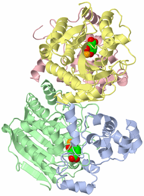 Image Asym./Biol. Unit
