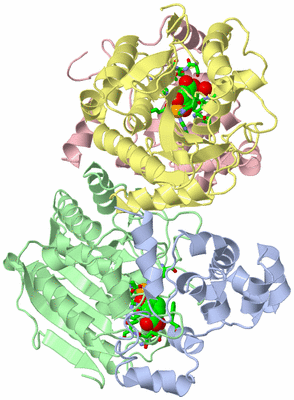 Image Asym./Biol. Unit - sites