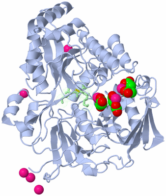 Image Asym./Biol. Unit