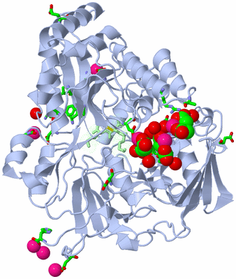 Image Asym./Biol. Unit - sites