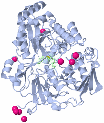 Image Asym./Biol. Unit