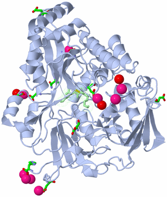 Image Asym./Biol. Unit - sites